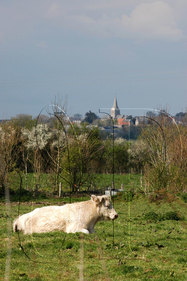 Normandie