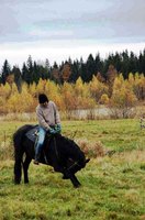 J.Reboul Stari Dierievian Russie